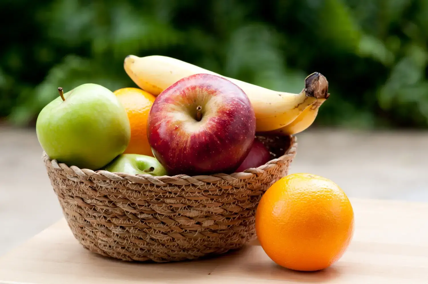 Top 10 Fruits Safe for Dogs What Fruits Can Dogs Eat